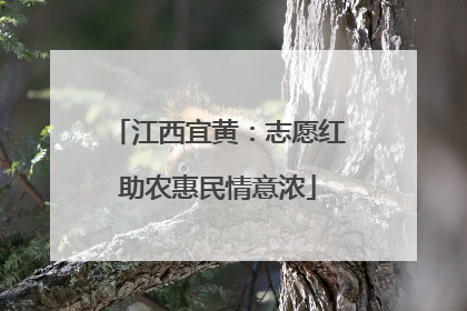 江西宜黄：志愿红助农惠民情意浓