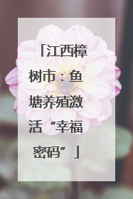 江西樟树市：鱼塘养殖激活“幸福密码”
