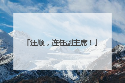 汪顺，连任副主席！
