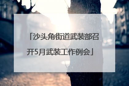 沙头角街道武装部召开5月武装工作例会