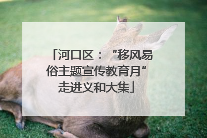 河口区：“移风易俗主题宣传教育月”走进义和大集