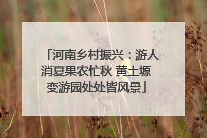 河南乡村振兴：游人消夏果农忙秋 黄土塬变游园处处皆风景