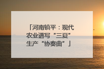 河南镇平：现代农业谱写“三夏”生产“协奏曲”