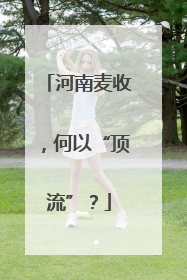河南麦收，何以“顶流”？