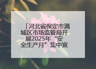 河北省保定市满城区市场监管局开展2025年“安全生产月”集中宣传咨询日活动