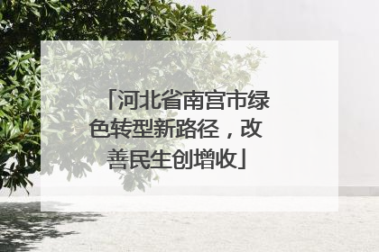 河北省南宫市绿色转型新路径，改善民生创增收
