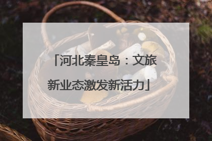河北秦皇岛：文旅新业态激发新活力