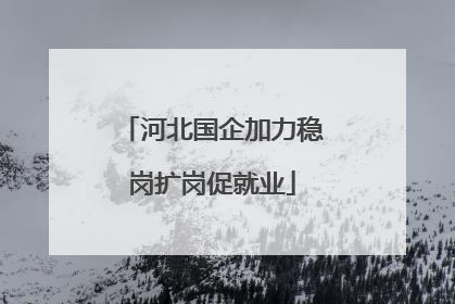 河北国企加力稳岗扩岗促就业