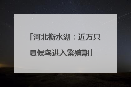 河北衡水湖：近万只夏候鸟进入繁殖期