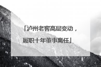 泸州老窖高层变动，履职十年董事离任