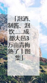 泡酒、制酱、泡饮……成都大邑3万亩青梅熟了丨图集