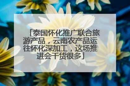 泰国怀化推广联合旅游产品，云南农产品运往怀化深加工，这场推进会干货很多