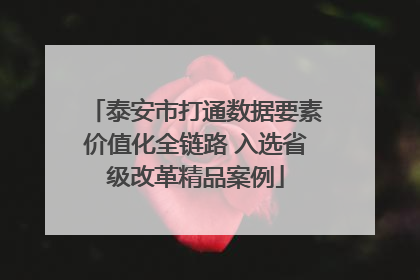 泰安市打通数据要素价值化全链路 入选省级改革精品案例