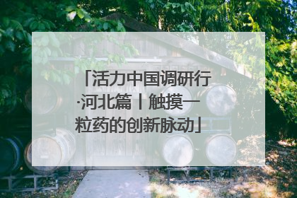 活力中国调研行·河北篇丨触摸一粒药的创新脉动