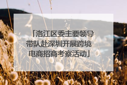 洛江区委主要领导带队赴深圳开展跨境电商招商考察活动