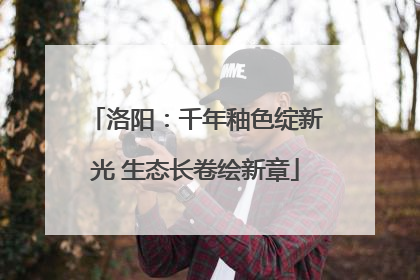 洛阳：千年釉色绽新光 生态长卷绘新章