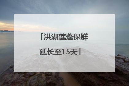 洪湖莲蓬保鲜延长至15天