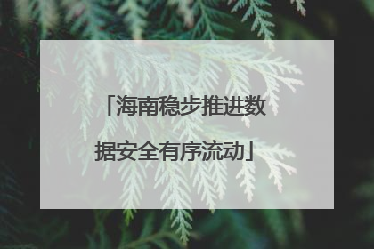 海南稳步推进数据安全有序流动