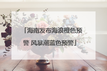 海南发布海浪橙色预警 风暴潮蓝色预警