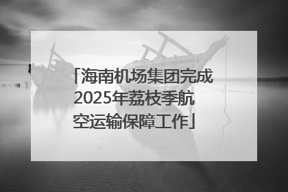 海南机场集团完成2025年荔枝季航空运输保障工作