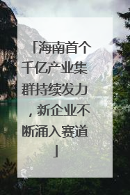 海南首个千亿产业集群持续发力，新企业不断涌入赛道