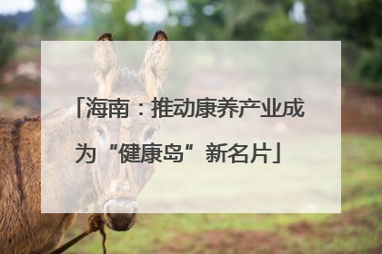 海南：推动康养产业成为“健康岛”新名片