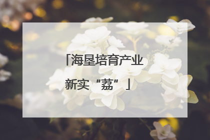 海垦培育产业新实“荔”