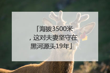 海拔3500米，这对夫妻坚守在黑河源头19年