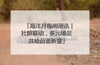 海洋月每周潮讯｜社群联动，多元场景共绘蔚蓝新章
