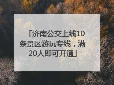 济南公交上线10条景区游玩专线，满20人即可开通