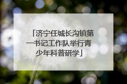 济宁任城长沟镇第一书记工作队举行青少年科普研学