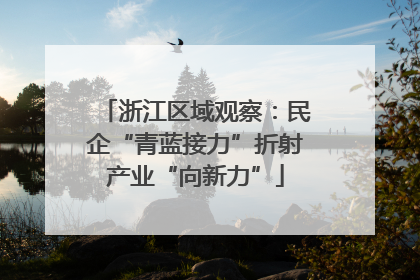 浙江区域观察：民企“青蓝接力”折射产业“向新力”
