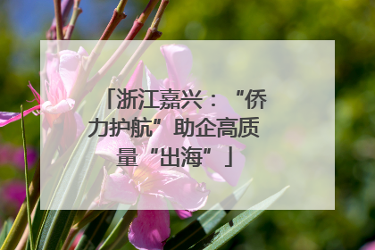 浙江嘉兴：“侨力护航”助企高质量“出海”