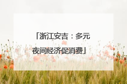 浙江安吉：多元夜间经济促消费