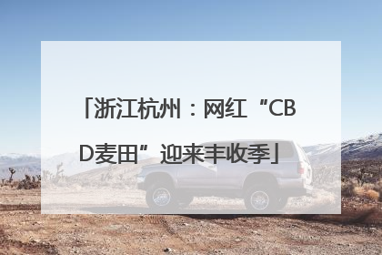 浙江杭州：网红“CBD麦田”迎来丰收季