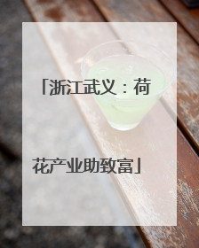 浙江武义：荷花产业助致富