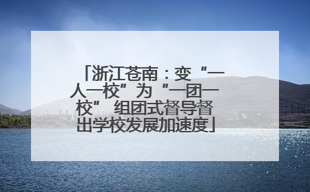 浙江苍南：变“一人一校”为“一团一校” 组团式督导督出学校发展加速度