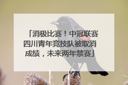 消极比赛！中冠联赛四川青年竞技队被取消成绩，未来两年禁赛