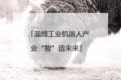淄博工业机器人产业“智”造未来