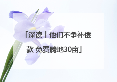深读丨他们不争补偿款 免费腾地30亩