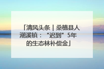 清风头条｜桑植县人潮溪镇：“迟到”5年的生态林补偿金