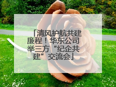 清风护航共建廉程！华东公司举三方“纪企共建”交流会