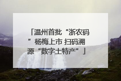温州首批“浙农码”杨梅上市 扫码溯源“数字土特产”