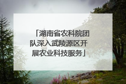 湖南省农科院团队深入武陵源区开展农业科技服务