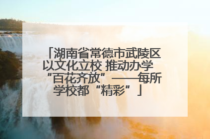 湖南省常德市武陵区以文化立校 推动办学“百花齐放”——每所学校都“精彩”