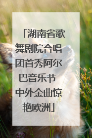 湖南省歌舞剧院合唱团首秀阿尔巴音乐节 中外金曲惊艳欧洲