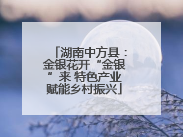 湖南中方县：金银花开“金银”来 特色产业赋能乡村振兴