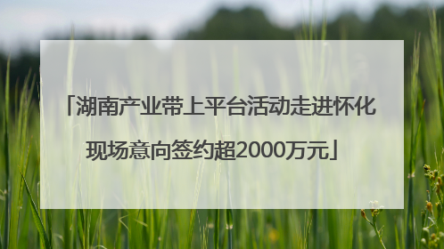 湖南产业带上平台活动走进怀化 现场意向签约超2000万元