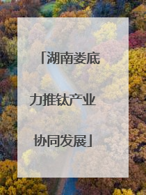 湖南娄底力推钛产业协同发展