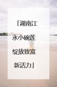湖南江永小碗莲绽放致富新活力